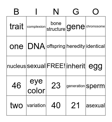 Heredity Bingo Card
