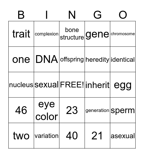 Heredity Bingo Card