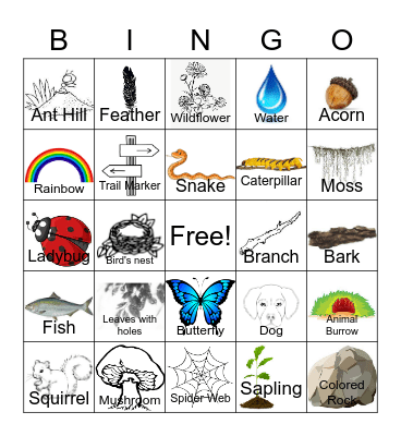 Nature Bingo Card