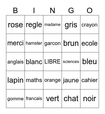 Bingo Révision de Géo Bingo Card