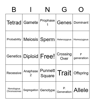 Genetics Vocabulary Bingo Card