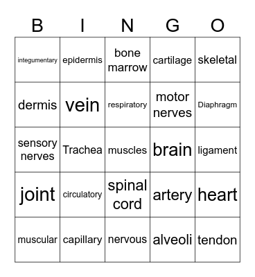 Human Body Systems Bingo Card