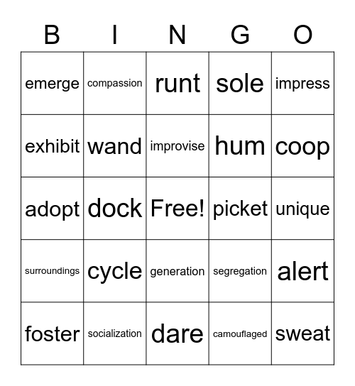 VOCABULARY Bingo Card