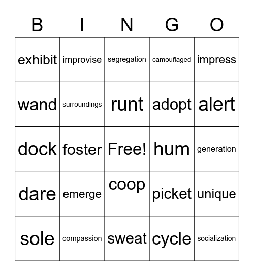 VOCABULARY BINGO Card