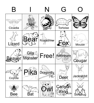 Southern Utah Animals Bingo Card