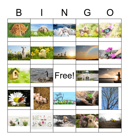 Happy Spring! Bingo Card