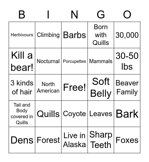 Porcupine Bingo Card