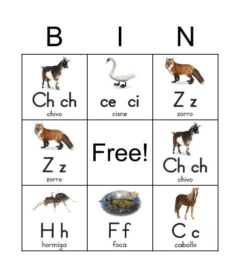 Q N Rr X Z Bingo Card