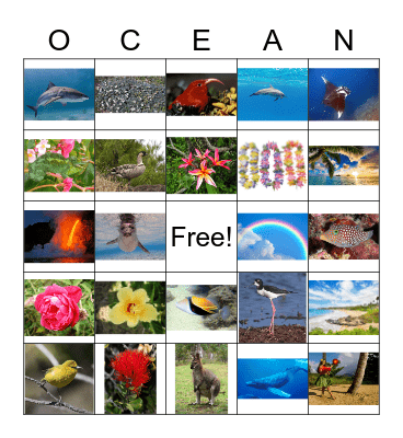 Animal luau!! Bingo Card