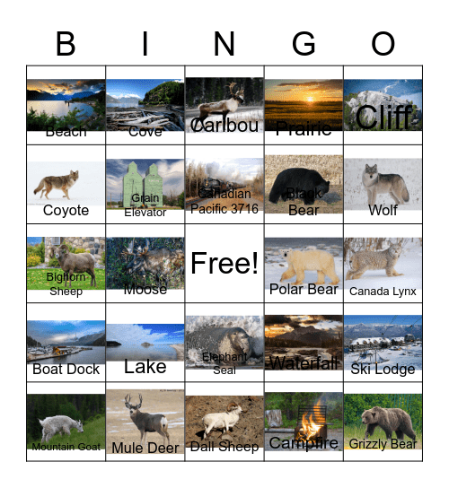 Bears and other Canada Related Stuff Bingo Card