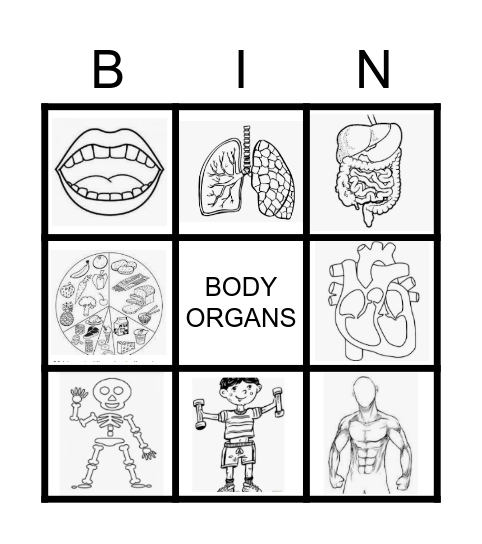 HUMAN BODY SYSTEMS Bingo Card