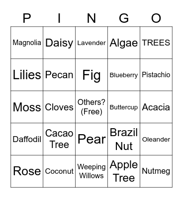PINGO Bingo Card