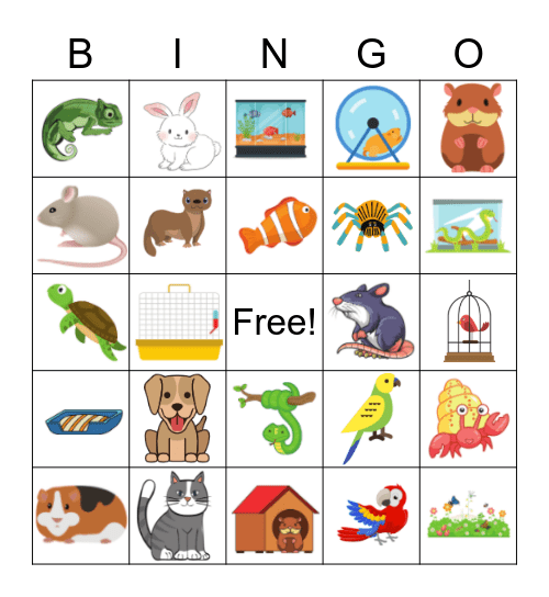 Haustiere Bingo Card