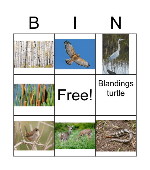 Sand Prairie Bingo Card