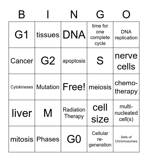 The Cell Cycle Bingo Card