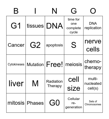 The Cell Cycle Bingo Card