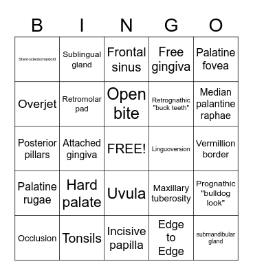 Queen of Hygiene BINGO Card