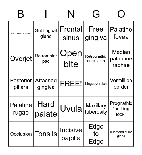 Queen of Hygiene BINGO Card