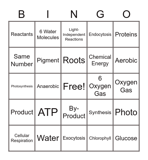 Photosynthesis Bingo Card