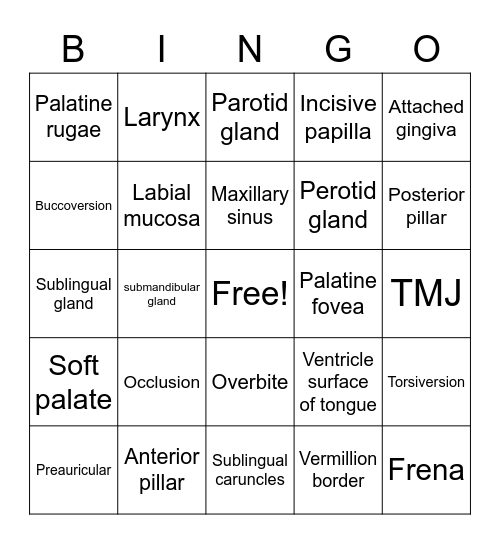 Queen of Hygiene BINGO Card