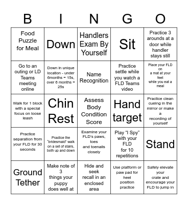 SPRING MYSTERY BINGO Card