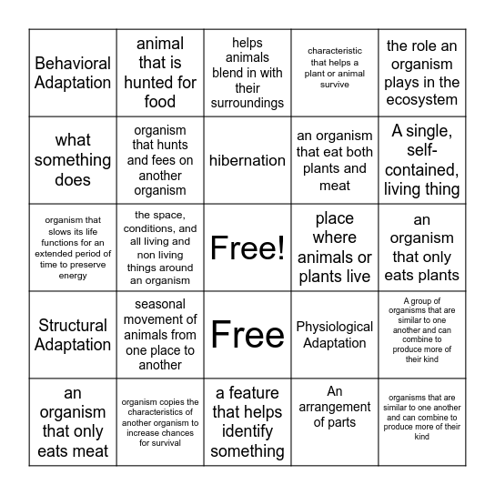 Adaptations Bingo Card