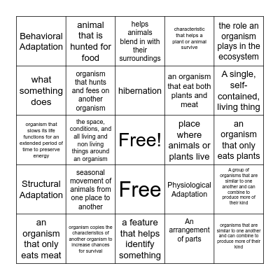 Adaptations Bingo Card