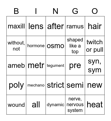 DV Medical Terms Lesson 10 Bingo Card