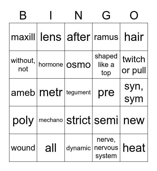 DV Medical Terms Lesson 10 Bingo Card
