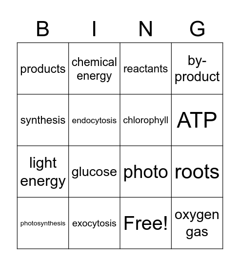 Photosynthesis Bingo Card