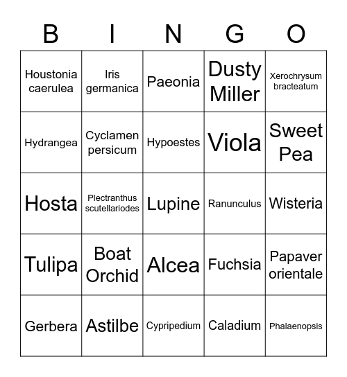 Plant ID Bingo! Bingo Card