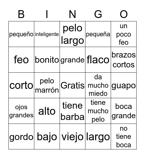 Spanish adjectives and phrases Bingo Card