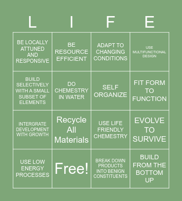 Life Bingo Card