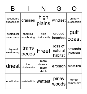 5th Unit test Bingo Card