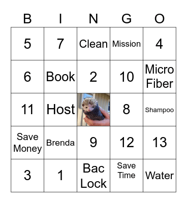 Norwex Bingo Card