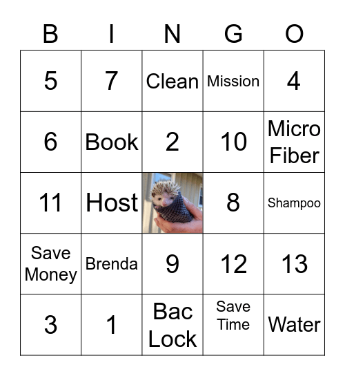 Norwex Bingo Card