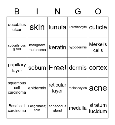 Integumentary System Bingo Card