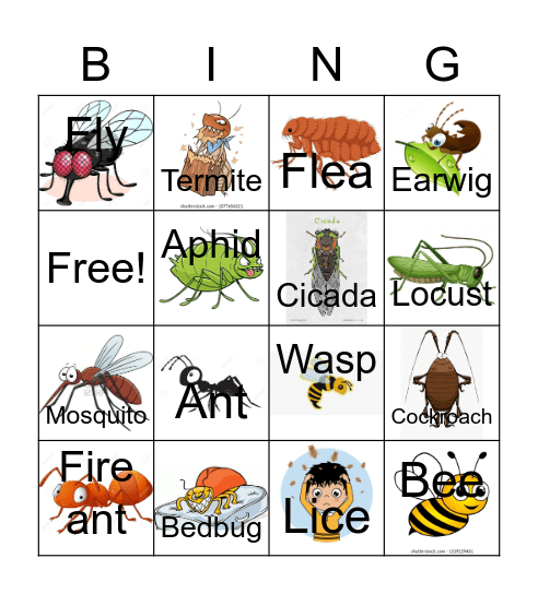 Insect Pests Bingo Card