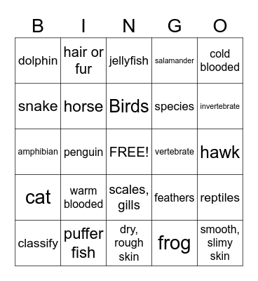 Animal Classification Bingo Card