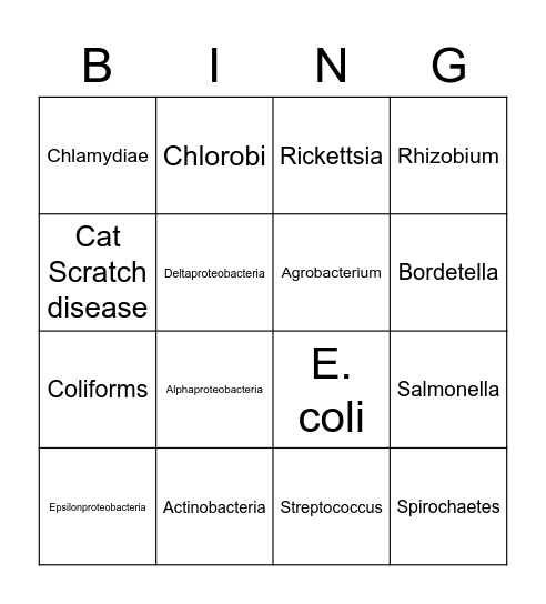 Bacterial Taxa Bingo Card