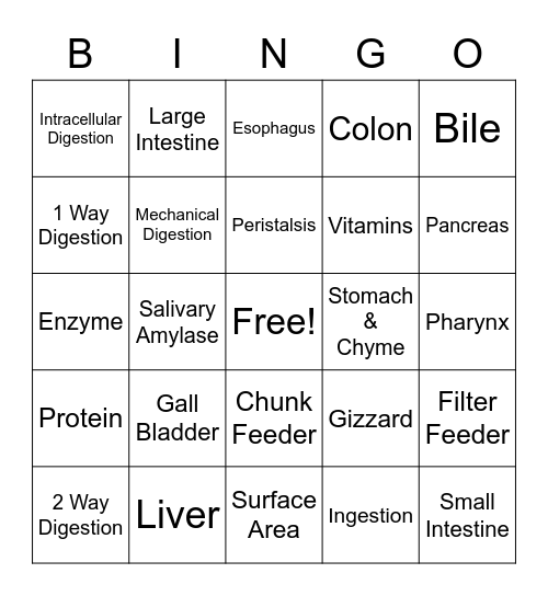 Digestion Bingo Card