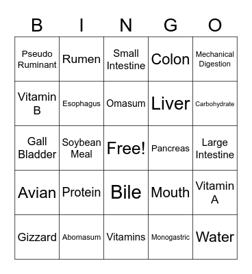 Animal Digestion Bingo Card