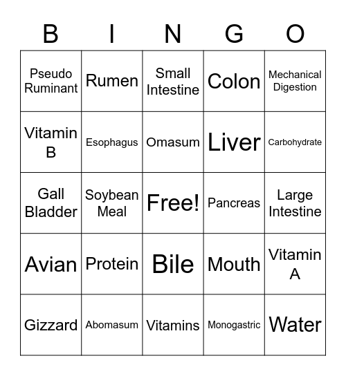 Animal Digestion Bingo Card