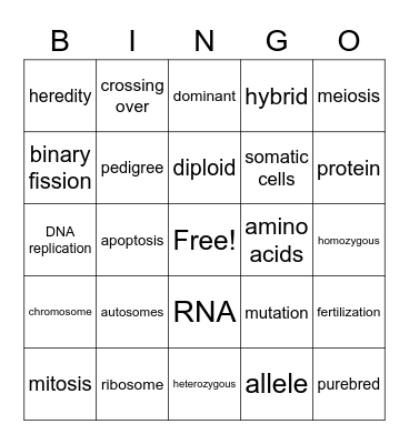 Topic 3 Review Bingo Card