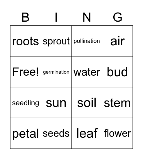 Plant Vocabulary Bingo Card