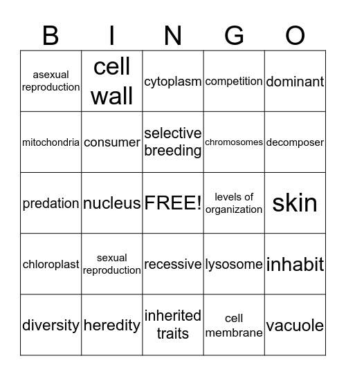 2015 4th Six Weeks Test Bingo Card