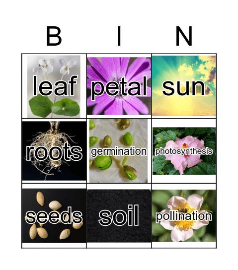 PLANT BIN Bingo Card