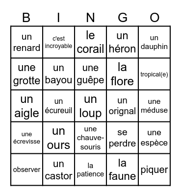 FR 3 - En Pleine Nature (ch 5) Bingo Card