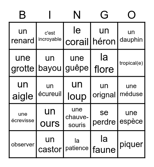 FR 3 - En Pleine Nature (ch 5) Bingo Card