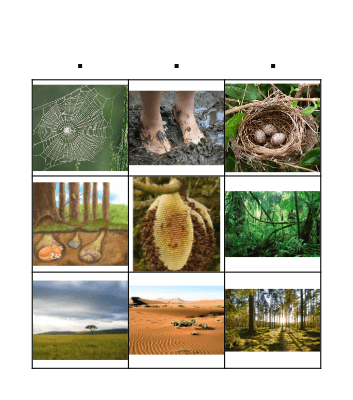 Animal Habitats Bingo Card